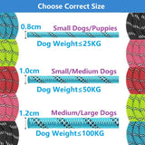 Heavy-Duty Nylon Dog Leash – 120/150/200/300CM Reflective & Padded Handle for Small, Medium, Large Dogs