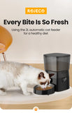 Automatic Smart Pet Feeder | Programmable Dry Food Dispenser for Cats & Dogs | LCD Display & Portion Control