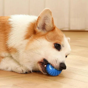 Smart Interactive Dog Ball | USB Rechargeable Automatic Moving & Bouncing Toy for Dogs & Cats