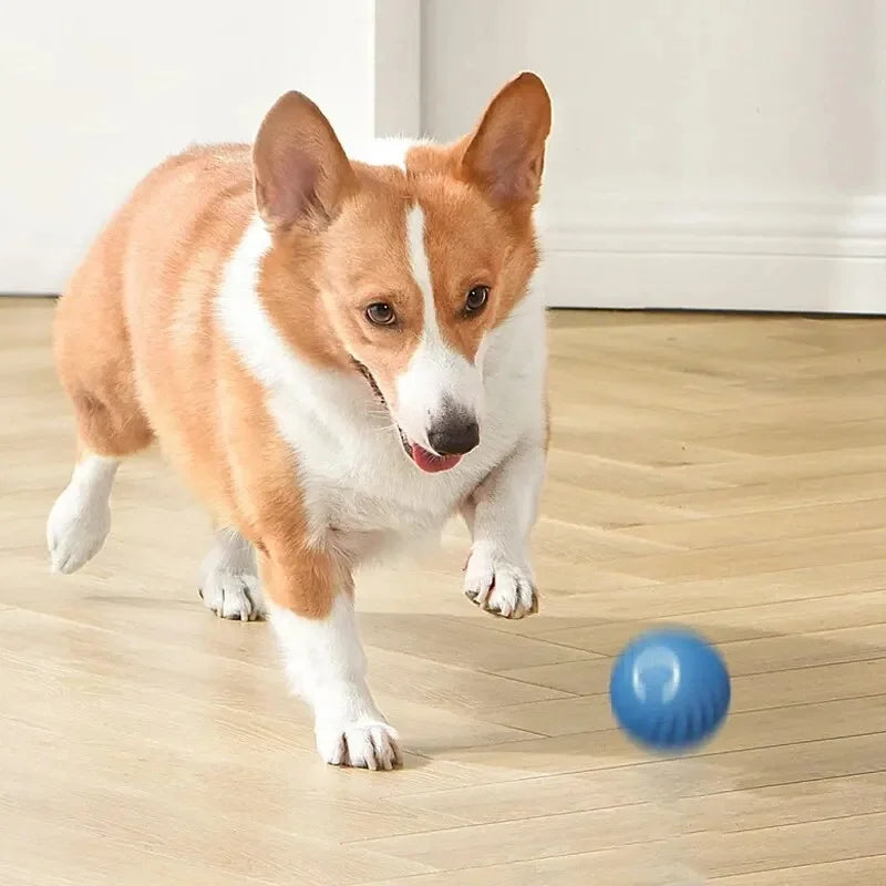 Smart Interactive Dog Ball | USB Rechargeable Automatic Moving & Bouncing Toy for Dogs & Cats