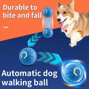 Smart Interactive Dog Ball | USB Rechargeable Automatic Moving & Bouncing Toy for Dogs & Cats