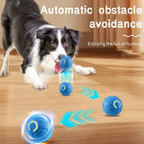 Smart Interactive Dog Ball | USB Rechargeable Automatic Moving & Bouncing Toy for Dogs & Cats