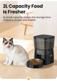 Automatic Smart Pet Feeder | Programmable Dry Food Dispenser for Cats & Dogs | LCD Display & Portion Control