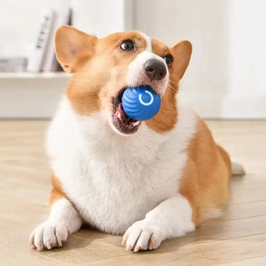 Smart Interactive Dog Ball | USB Rechargeable Automatic Moving & Bouncing Toy for Dogs & Cats