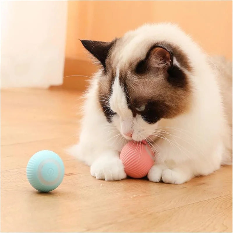 Smart Interactive Dog Ball | USB Rechargeable Automatic Moving & Bouncing Toy for Dogs & Cats