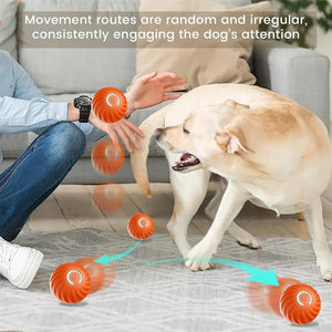 Smart Interactive Dog Ball | USB Rechargeable Automatic Moving & Bouncing Toy for Dogs & Cats